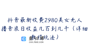 抖音最新收费2980美女无人撸音浪日收益几百到几千（详细教程玩法）