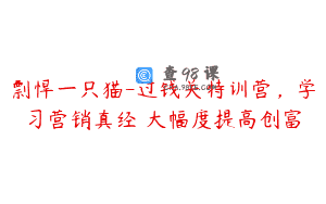 剽悍一只猫-过钱关特训营，学习营销真经 大幅度提高创富