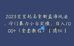 2023宝宝起名全新蓝海玩法，冷门暴力小白实操，日入1000+（全套教程）【揭秘】