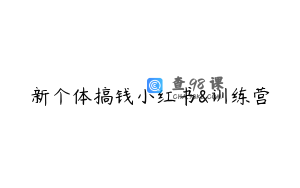 新个体搞钱小红书&训练营