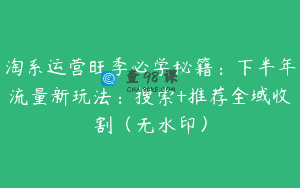 淘系运营旺季必学秘籍：下半年流量新玩法：搜索+推荐全域收割（无水印）