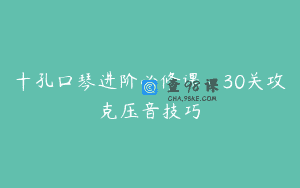 十孔口琴进阶必修课：30关攻克压音技巧