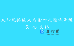 大师兄抓板火力全开之短线训练营 PDF文档