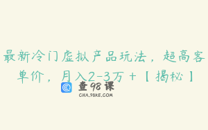 最新冷门虚拟产品玩法，超高客单价，月入2-3万＋【揭秘】