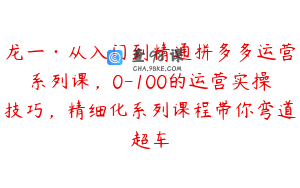 龙一·从入门到精通拼多多运营系列课，0-100的运营实操技巧，精细化系列课程带你弯道超车