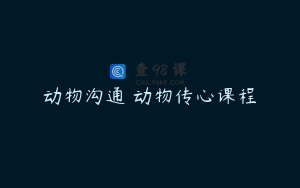 动物沟通 动物传心课程