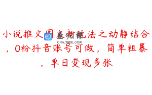 小说推文图文新玩法之动静结合，0粉抖音账号可做，简单粗暴，单日变现多张