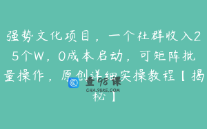 强势文化项目，一个社群收入25个W，0成本启动，可矩阵批量操作，原创详细实操教程【揭秘】
