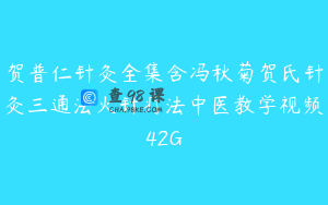 贺普仁针灸全集含冯秋菊贺氏针灸三通法火针疗法中医教学视频42G