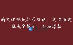 萌宠短视频起号攻略，定位搭建推流全解析，打造爆款
