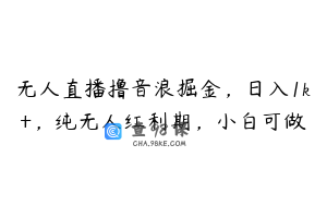 无人直播撸音浪掘金，日入1k+，纯无人红利期，小白可做