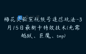梅花实验室视频号连怼玩法-3月15日最新卡特效技术(无需越狱、巨魔、tmp)