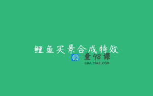 鲤鱼实景合成特效