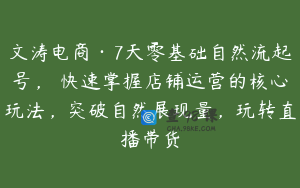 文涛电商·7天零基础自然流起号，​快速掌握店铺运营的核心玩法，突破自然展现量，玩转直播带货