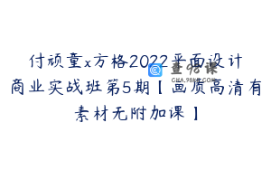 付顽童x方格2022平面设计商业实战班第5期【画质高清有素材无附加课】