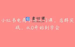 小红书电商小白入门课，店群实战，从0开始到学会