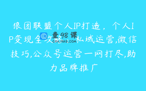 狼团联盟个人IP打造，个人IP变现全攻略：私域运营,微信技巧,公众号运营一网打尽,助力品牌推广