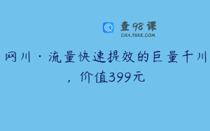 网川·流量快速提效的巨量千川，价值399元