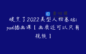 碳烹了2022美型人物基础ipad插画课【画质还可以只有视频】