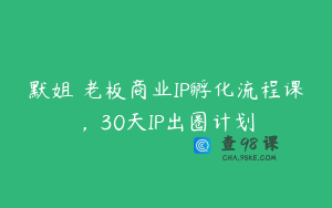 默姐・老板商业IP孵化流程课,30天IP出圈计划