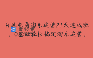 白凤电商淘系运营21天速成班，0基础轻松搞定淘系运营，