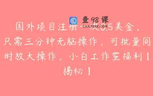 国外项目注册一次0.5美金，只需三分钟无脑操作，可批量同时放大操作，小白工作室福利【揭秘】