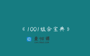 《1001组合宝典》