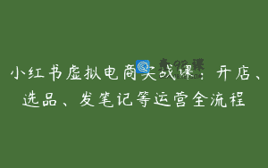 小红书虚拟电商实战课：开店、选品、发笔记等运营全流程