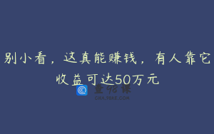 别小看，这真能赚钱，有人靠它收益可达50万元