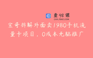 宝哥拆解外面卖1980手机流量卡项目，0成本无脑推广
