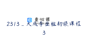 2313_大成拳坐桩初级课程3