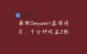 最新Deepseek+蓝海项目，十分钟收益2张