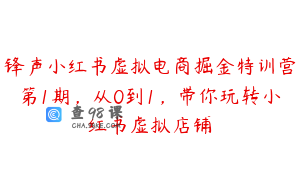 锋声小红书虚拟电商掘金特训营第1期，从0到1，带你玩转小红书虚拟店铺