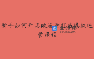 新手如何开店做流量打造爆款运营课程