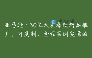 亚马逊·30亿大卖爆款新品推广，可复制、全程案例实操的