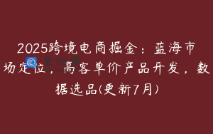 2025跨境电商掘金：蓝海市场定位，高客单价产品开发，数据选品(更新7月)