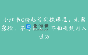 小红书0粉起号实操课程：无需露脸，不写长文，不拍视频月入过万