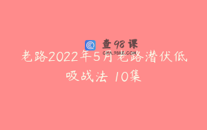 老路2022年5月老路潜伏低吸战法 10集