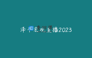 泽平宏观直播2023