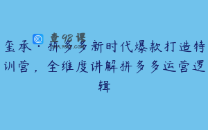玺承·拼多多新时代爆款打造特训营，全维度讲解拼多多运营逻辑