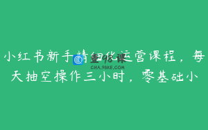 小红书新手精细化运营课程，每天抽空操作三小时，零基础小