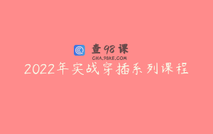 2022年实战穿插系列课程