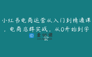 小红书电商运营从入门到精通课，电商店群实战，从0开始到学会