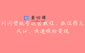 闪闪壁纸号运营教程，抓住图文风口，快速吸粉变现