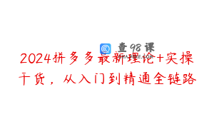 2024拼多多最新理论+实操干货，从入门到精通全链路