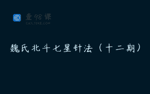 魏氏北斗七星针法（十二期）