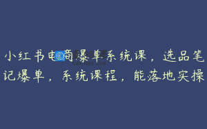 小红书电商爆单系统课，选品笔记爆单，系统课程，能落地实操
