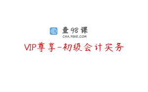 VIP尊享-初级会计实务