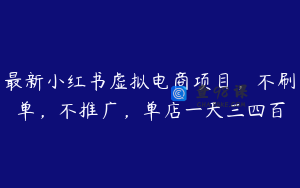 最新小红书虚拟电商项目，不刷单，不推广，单店一天三四百
