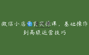 微信小店带货实操课，基础操作到高级运营技巧